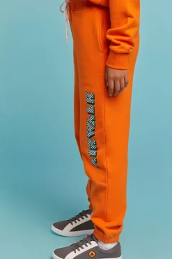 Airwalk French Terry Graphic Joggers