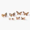 Butterfly Stud Earring Set