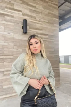 Cropped Turtleneck Sweater