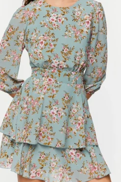 Floral Print Chiffon Mini Dress