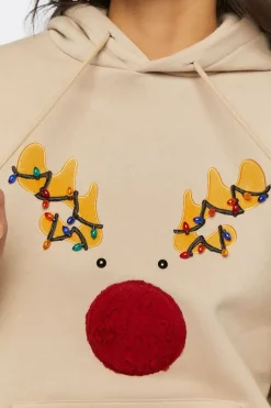 Reindeer Embroidered Graphic Hoodie