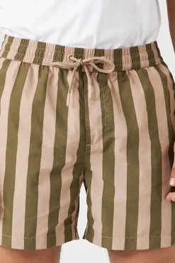 Striped Swim Trunks